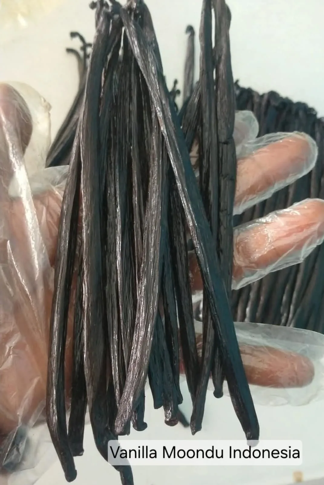 Penanganan batang vanili kering MONDU